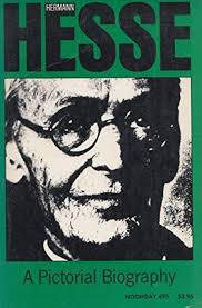 Hermann Hesse: Pictorial Biography: Michels, Volker, Ziolbowski, Yetta,  Ziolbowski, Theodore: 9780374512286: Books