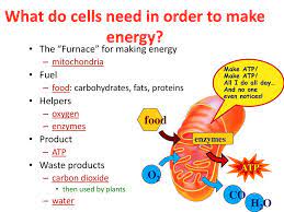 Maybe you would like to learn more about one of these? Topic Cellular Respiration Aim How Is Energy Atp Produced In Living Things Ppt Download