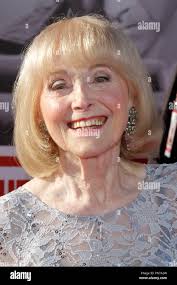 2016 joe hi-res stock photography and images