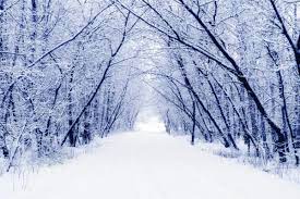 We did not find results for: 6 724 Winter Scenes Stock Photos Free Royalty Free Winter Scenes Images Depositphotos