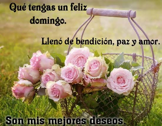 Resultado de imagen para feliz domingo familia