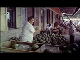 Forks Over Knives Plant Based Living Official Website Health Documentaries Forks Over Knives Forks Over Knives Documentary