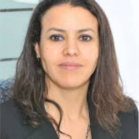 40+ "Alaoui-amini" profiles