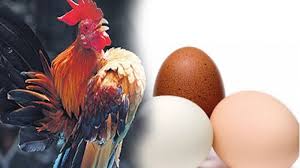 We did not find results for: Jangan Salah Beli Kenali Dulu 6 Jenis Telur Ayam Yang Dijual Di Pasaran