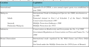 The sabah tourism, culture and environment ministry is considering amending the wildlife conservation enactment 1997 to make the killing of fully protected animals as a strict liability offence. Pdf A Preliminary Assessment Of Sunda Pangolin Trade In Sabah Semantic Scholar