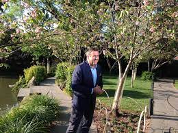 Mike Larkan Filming The Weather From Melbourne Zoo S Japanese Garden Japanese Garden Melbourne Zoo Melbourne