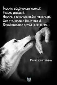 Dirty White Cat Guzel Soz Edebiyat
