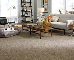 Mystical nontoxic carpet cleaners r. Tuftex Stainmaster Pet Protect Minneapolis Hopkins Carpet One