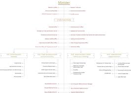 organization structure ministry of health and prevention uae