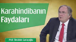 karahindibanin mucizevi faydalari prof ibrahim saracoglu dogal saglik dogal tedaviler