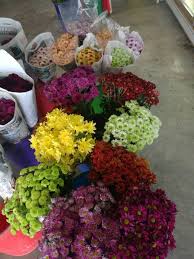 We did not find results for: Wholesale Sin Hooi Trading Jb Fresh Flower Wholesale Facebook