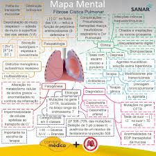 No existe cura para la fibrosis quística, pero el tratamiento pueden aliviar los síntomas, reducir las complicaciones y mejorar la calidad de vida. Mapa Mental Fibrose Cistica Sanar Medicina