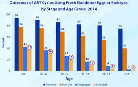 Additional assisted reproductive technologies in line with ivf cost extra. Fertility Ivf After Age 40 Older Women Infertility
