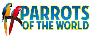 Near board bazar, peshawar, khyber pakhtunkhwa, pakistan. Bird And Pet Store In Rockville Centre Parrots Of The World Rockville Centre Ny