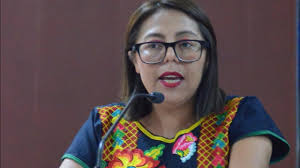 Diputada Teresita de Jesús Valentín Vázquez