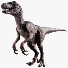 Are you kids interested in dinosaurs? Raptor 3d Model Raptor Dinosaur Dinosaur Pictures Dinosaur