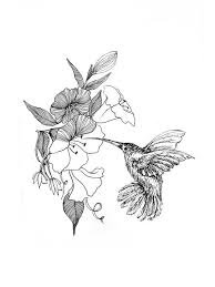Pencil Bird In Flight Drawing Humming Bird Flying And Eating Honey Pen Drawing Bird Drawings Hummingbird Drawing Bird Sketch