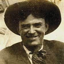 Lone Wolf in Starlight by Elling William Gollings