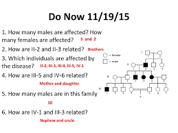 How many males are there. Pedigrees Part 2 Biology Mrs Harper 1 31 Ppt Download