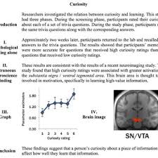 Use it or lose it they say, and that is certainly true when it. Pdf Extending The Seductive Allure Of Neuroscience Explanations Effect To Popular Articles About Educational Topics