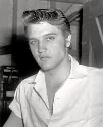 Elvis Presley fans of...