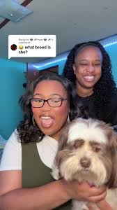 Replying to @👽 🛸marz👽 🛸 This is Dutchess lol she just be chilling  forreal 😂 @trippininthecity #dogsoftiktok #fypシ #prank