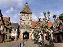 Trouvez Associes Investisseurs Et Partenaires D Affaires A Bergheim 68750 Bergheim Hautrhin Alsace Associes Investisseur Alsace Tourisme Alsace Cigogne