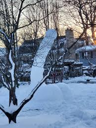 4740 saratoga, downers grove, il, 60515 is a single family listed at 0. A Wonderful 15 Foot Snow Penis On Saratoga And Prarie Downersgrove