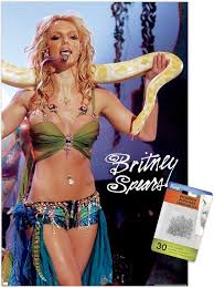 Image result for britney spears python