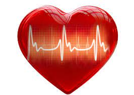 Entenda o funcionamento do coração e suas complicações