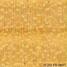 Image result for Celtis zenkeri