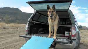 A clever, telescopic dog ramp for the car. Dog Ramp Youtube