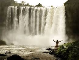 Jaguar Paw Apocalypto Mexico City Vacation Movie Covers Great Movies