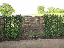 Haselnuss Element Als Sichtschutz In Der Hecke Garten Bedarf Garten Pflege Gartenty In 2020 Privacy Landscaping Backyard Garden Structures Small Backyard Landscaping