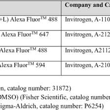 ASHOK DANIEL PRABAKARAN PRAGASAM's research works