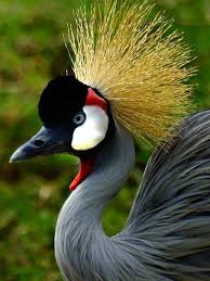 Pin On Africa Travel