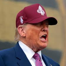 🔥 Stripping Citizenship for Dissent? That's the stuff of dictatorships. In  democratic nations, speech—even offensive, annoying, or critical speech—is  protected. This isn't just petty; it's unconstitutional. It violates the  First and Fourteenth