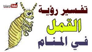 تفسير حلم رؤية القمل في المنام لابن سيرين youtube