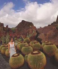Jardin De Cactus Las Palmas Spain Lucykg Travel Around The World Places To Go Beautiful Places