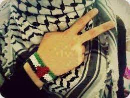 فلسطيني مسافر بالطيارة جابتله المضيفة 5 حبات دوآلي في صحن. ÙÙ„Ø³Ø·ÙŠÙ†ÙŠÙ‡ Hiba2hoho Twitter