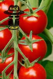 Bernice Moody (bernicemoody)