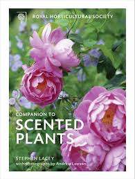 Maybe you would like to learn more about one of these? The Rhs Companion To Scented Plants Lacey Stephen Lawson Andrew 9780711235748 Amazon Com Books