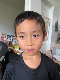 Sara Mattison Melo (@saramattisonmelo) • Instagram photos and videos