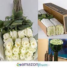 We did not find results for: Roses 28 Inches Length Amazon Flowers Proms Weddings Costco Wedding Flowers Diy Wedding Flowers Diy Wedding Flowers Bouquet