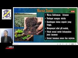 Maybe you would like to learn more about one of these? Part 2 Pertanian Tingkatan 4 Bab 2 Warna Tanah Youtube