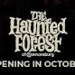 The Haunted Forest event image