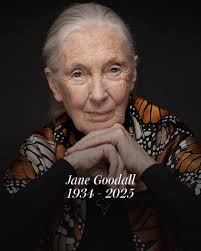 Today, May 5th is my Bestdaughter, Heidi Roe 's BIRTHDAY! Please join me in  celebrating her! 💋 #4daysinmay