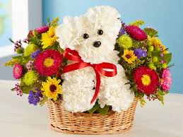 Pillow for $39.99 and candle for $29.99). One Of A Kind Bouquet Local Florist Designed 1800flowers Com Flower Delivery Flower Gift Same Day Flower Delivery