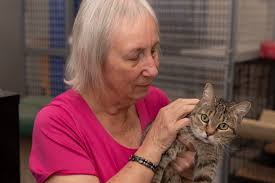 Gail Wilbur's Patches Place Cat Rescue Impacts the Local Feral and  Abandoned Cat Population.