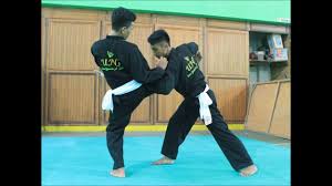 Berikut ini adalah gambar beserta keterangannya jurus pencak silat tapak suci. 10 Teknik Dasar Pencak Silat Beserta Gambarnya Resaja